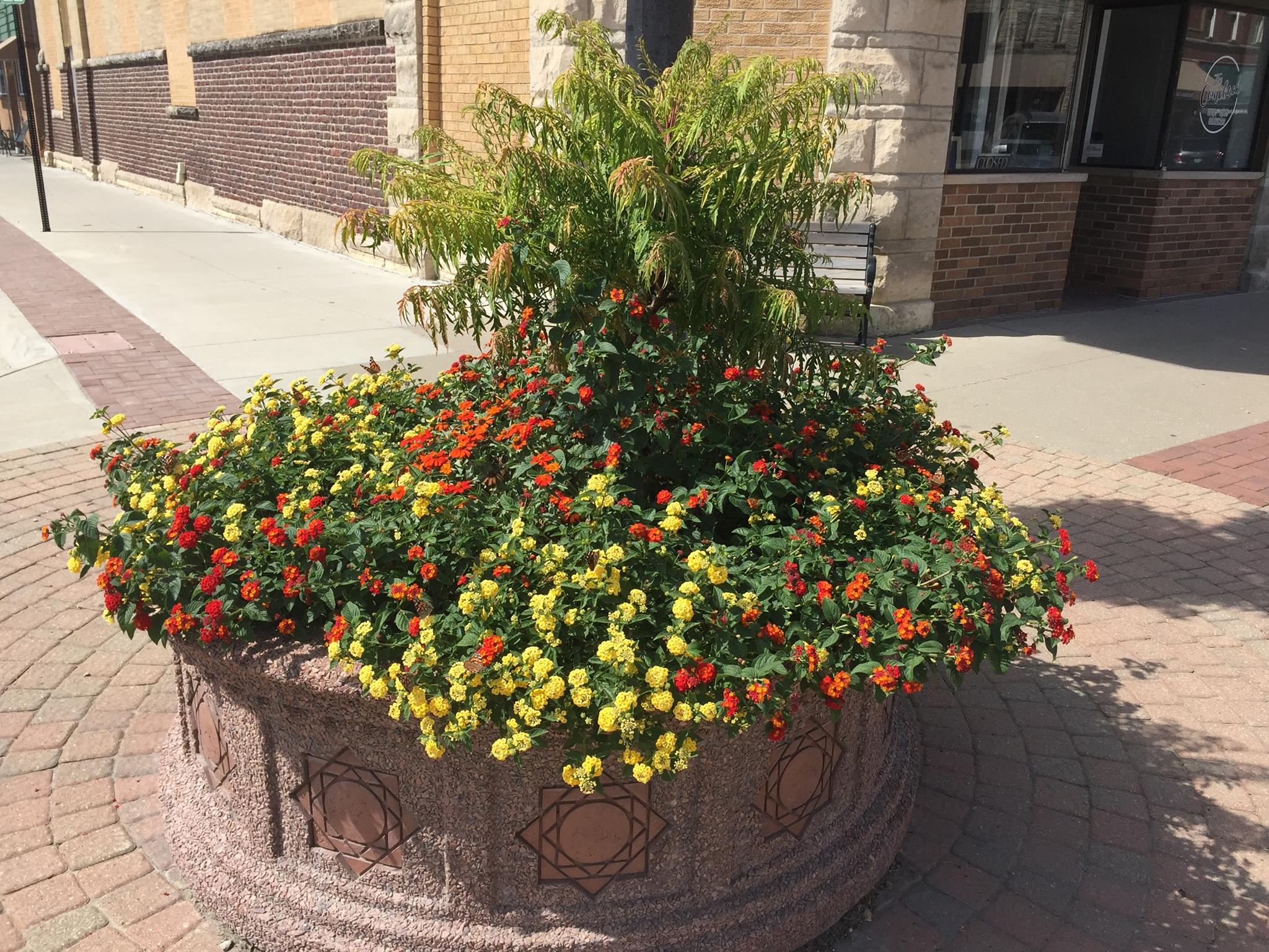 A brick raised bed on a city sidewalk filled with greenery and flowers in bloom